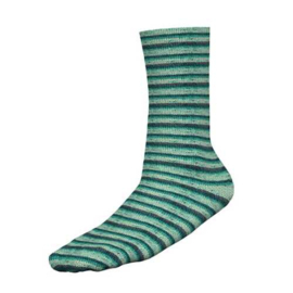 Wollbiene Socks Color 54