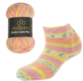 Wollbiene Sokcks Color 45