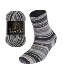 Wollbiene Socks Color 21
