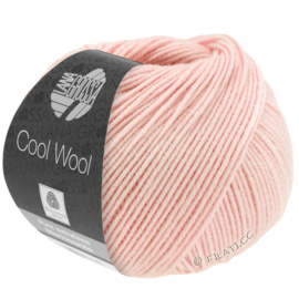 Cool Wool Rose 452