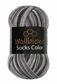 Wollbiene Socks Color 21