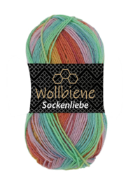 Sockenliebe Oranje/Groen 504