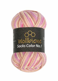 Wollbiene Socks Color 41