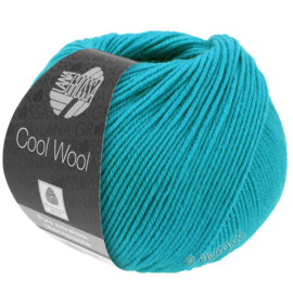Cool Wool Turquoise Blauw 502