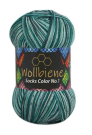 Wollbiene Socks Color 54