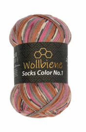Wollbiene Socks Color 42