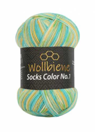 Wollbiene Socks Color 46