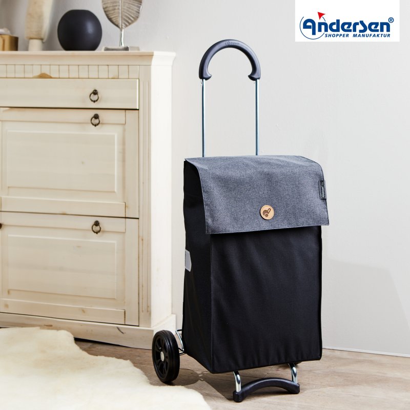Shopper 2 wielen
