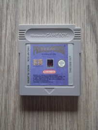 Prince of Persia Nintendo Gameboy GB / Color / GBC / Advance / GBA (B.5.2)