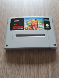 Dennis the Manice - Super Nintendo / SNES / Super Nes spel 16Bit (D.2.3)