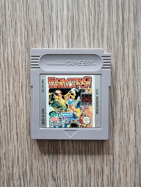 Fighting Simulator  Nintendo Gameboy GB / Color / GBC / Advance / GBA (B.5.1)