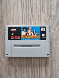 Beethoven The Ultimate Canine Caper  - Super Nintendo / SNES / Super Nes spel 16Bit (D.2.4)