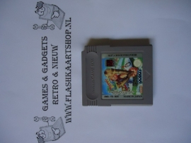 Dennis The Menace Nintendo Gameboy GB / Color / GBC / Advance / GBA (B.5.1)