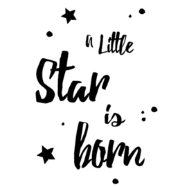 Geboortesticker Little Star is born