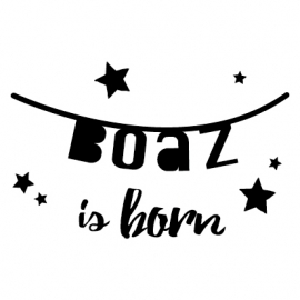 Geboortesticker banner Boaz