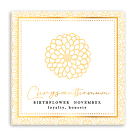 November - Chrysant (chrysanthemum)