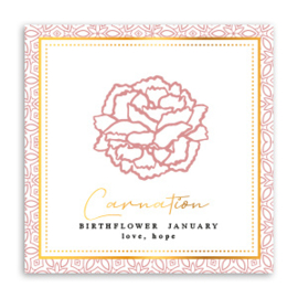 Januari - carnation (tuinanjer)