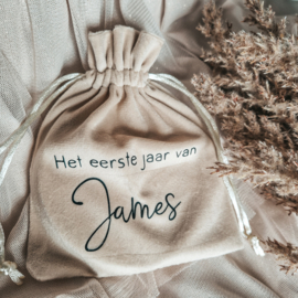 Mijlpaal rondjes | Baby's eerste jaar