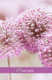 Rouwkaartje Silence 9x14 | paars | dubbel | 12 stuks | Rust Zacht