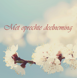 Bloemenkaartje Condoleance | dubbel | 7x7 | 15 stuks | Vak 116