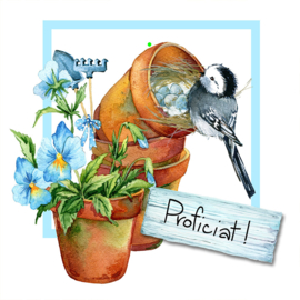 Bloemenkaartje Lovely Day | dubbel | 7x7 | 15 stuks | Vak 123