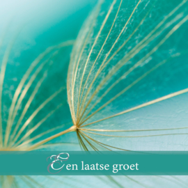 Rouwkaartje Silence 8x8 | zaden | dubbel | 12 stuks | Een laatste groet