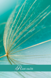 Rouwkaartje Silence 9x14 | zaden | dubbel | 12 stuks | Rust Zacht