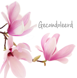 Bloemenkaartje Condoleance | dubbel | 7x7 | 15 stuks | Vak 119