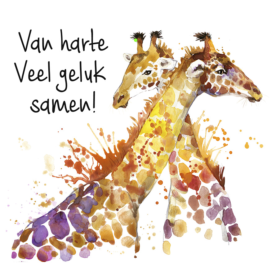 Bloemenkaartje House of Humor 7x7 dubbel vak 125