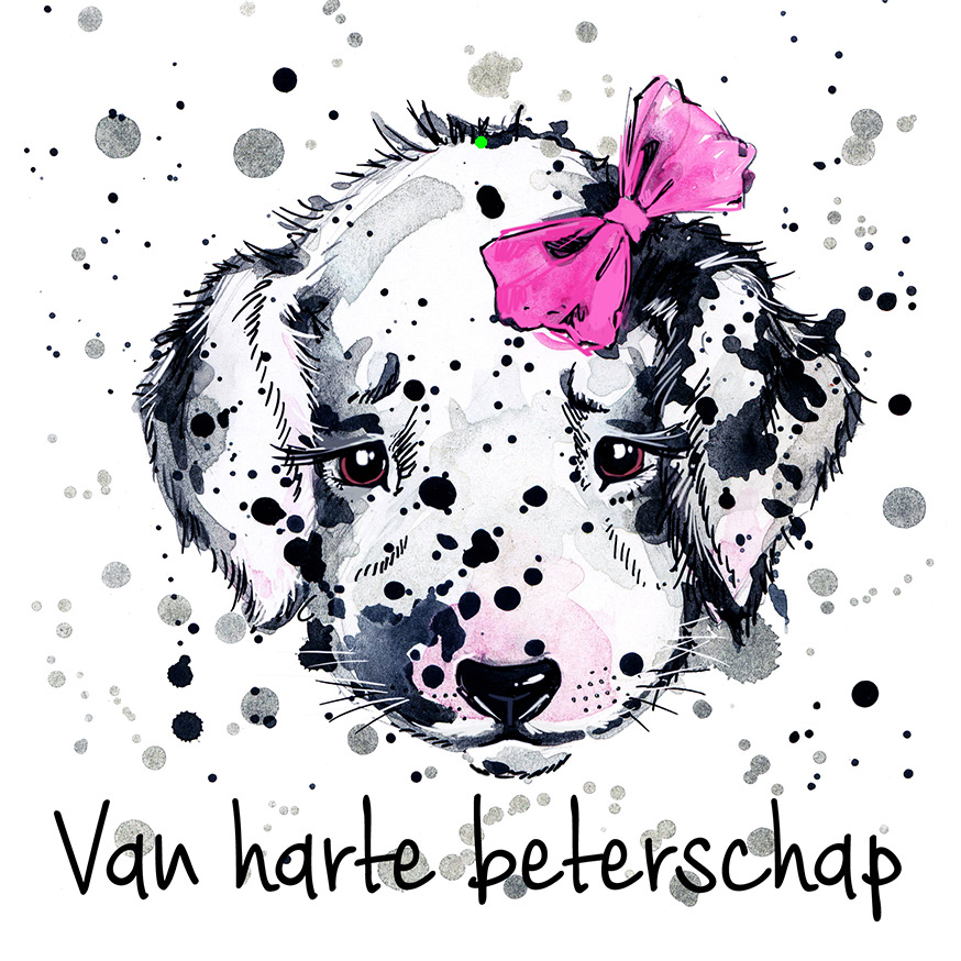 Bloemenkaartje House of Humor 7x7 dubbel vak 102