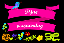 Black & Bright - Vak 105