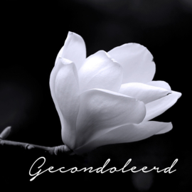 Bloemenkaartje Condoleance | dubbel | 7x7 | 15 stuks | Vak 105