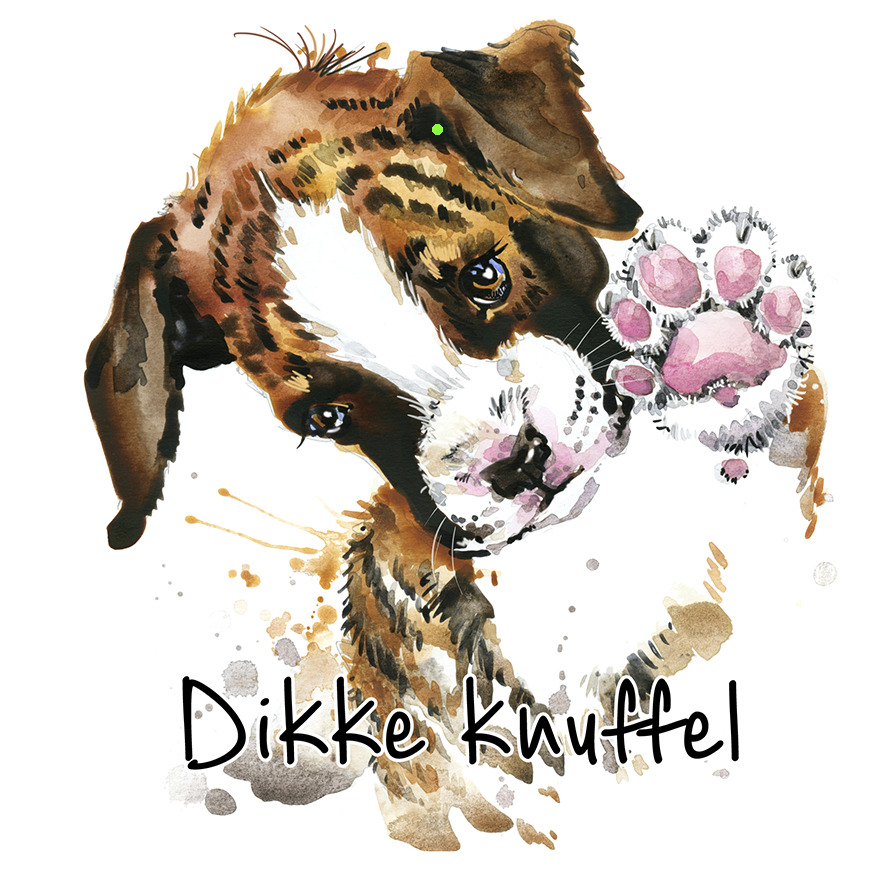 Bloemenkaartje House of Humor 7x7 dubbel vak 134