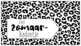 Cadeaulabel 8,5 x 4,5 cm vak 101