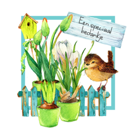 Bloemenkaartje Lovely Day | dubbel | 7x7 | 15 stuks | Vak 120