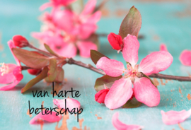 Bloemenkaartje 9x6 Blossoms vak 110