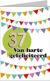 Time Flies leeftijd 37 jaar