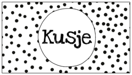 Cadeaulabel 8,5 x 4,5 cm vak 113