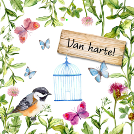 Bloemenkaartje Lovely Day | dubbel | 7x7 | 15 stuks | Vak 116