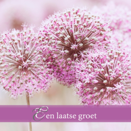 Rouwkaartje Silence 8x8 | paars | dubbel | 12 stuks | Een laatste groet