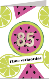 Time Flies leeftijd 85 jaar