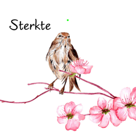 Bloemenkaartje Lovely Day | dubbel | 7x7 | 15 stuks | Vak 108