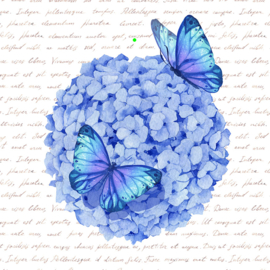 Bloemenkaartje Lovely Day | dubbel | 7x7 | 15 stuks | Vak 119