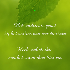 Bloemenkaartje Condoleance | dubbel | 7x7 | 15 stuks | Vak 103