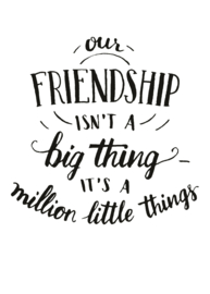 F145 kaartje 7.5 x 10.5 cm  Our friendship isn't... v.e 20 stuks