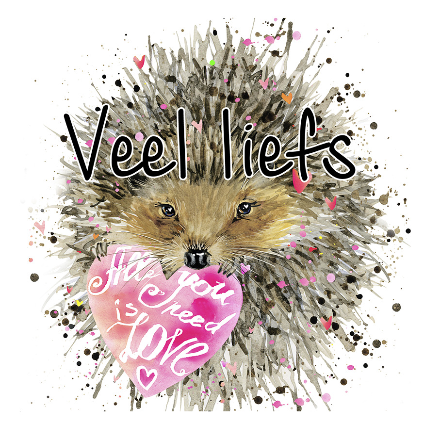 Bloemenkaartje House of Humor 7x7 dubbel vak 114