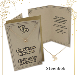 Horoscoopkaart met ketting | Steenbok | 6 stuks