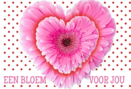 Valentijn 11x17 cm liggend- Vak 143