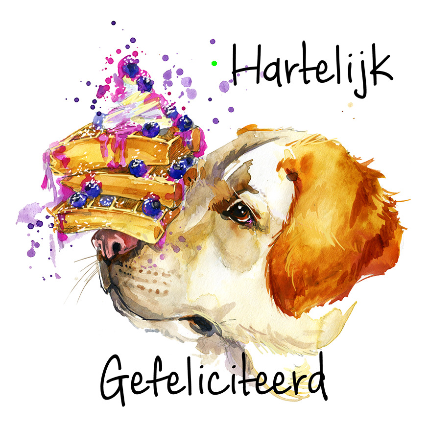 Bloemenkaartje House of Humor 7x7 dubbel vak 104