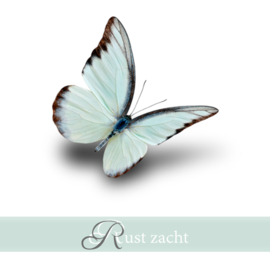 Rouwkaartje Silence 8x8 | vlinder | dubbel | 12 stuks | Rust Zacht